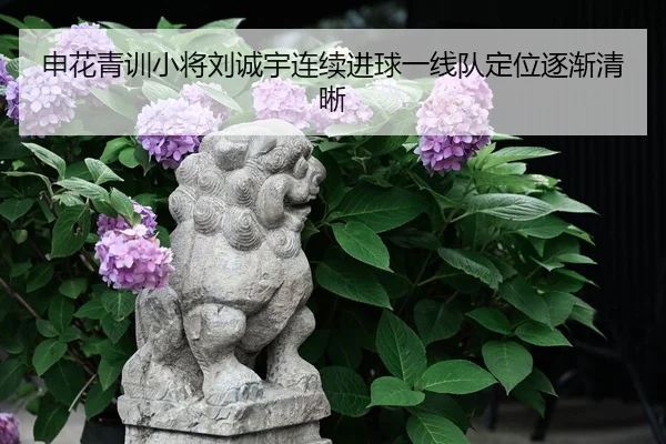 申花青训小将刘诚宇连续进球一线队定位逐渐清晰